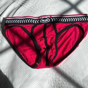 NASTYPIG Brief